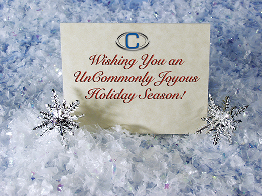 Holiday Greeting Card